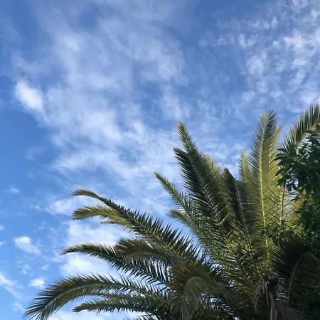 Quinta Da Joia *